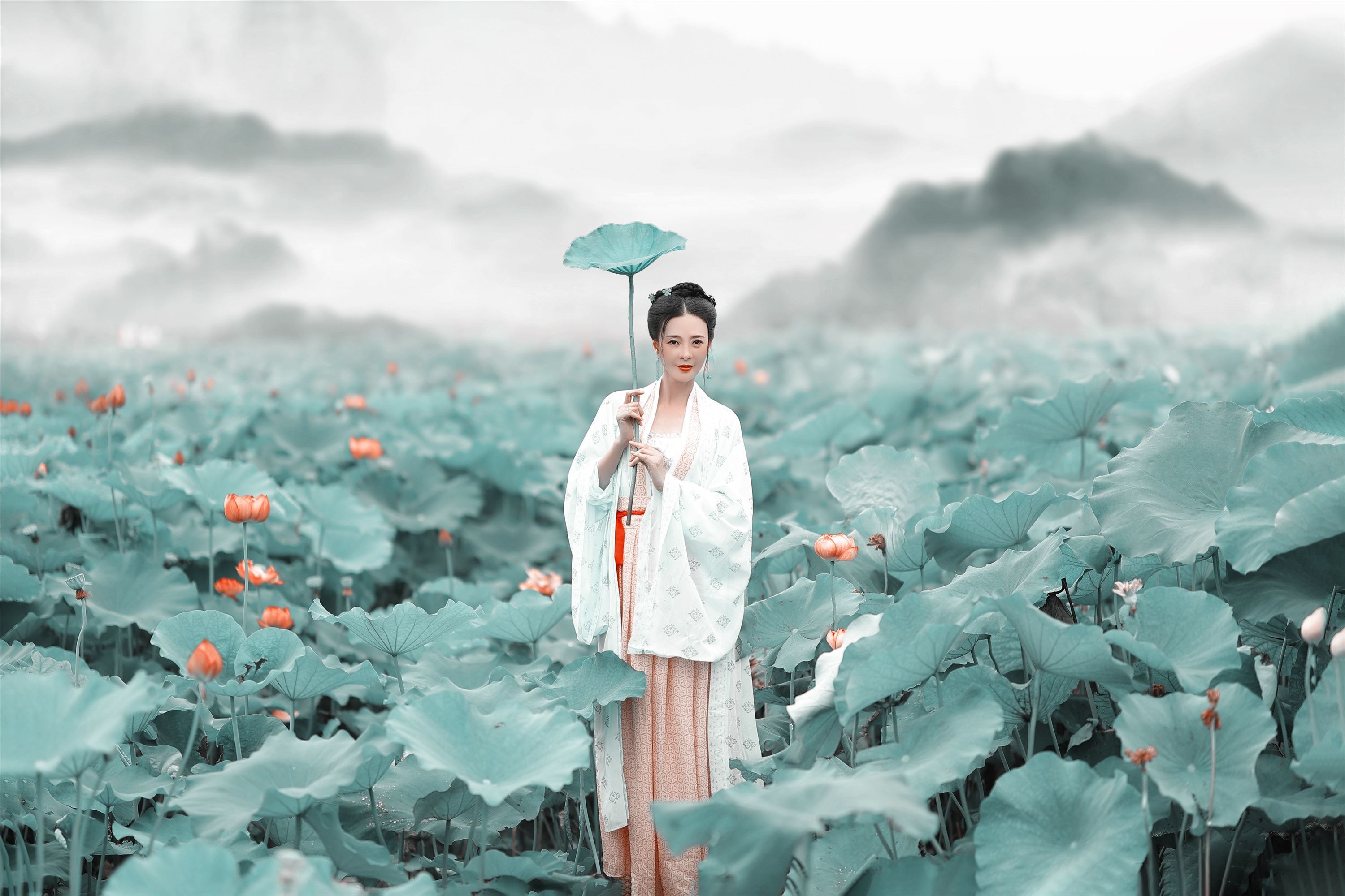 YITUYU艺图语 2021.08.16 采莲曲 莲